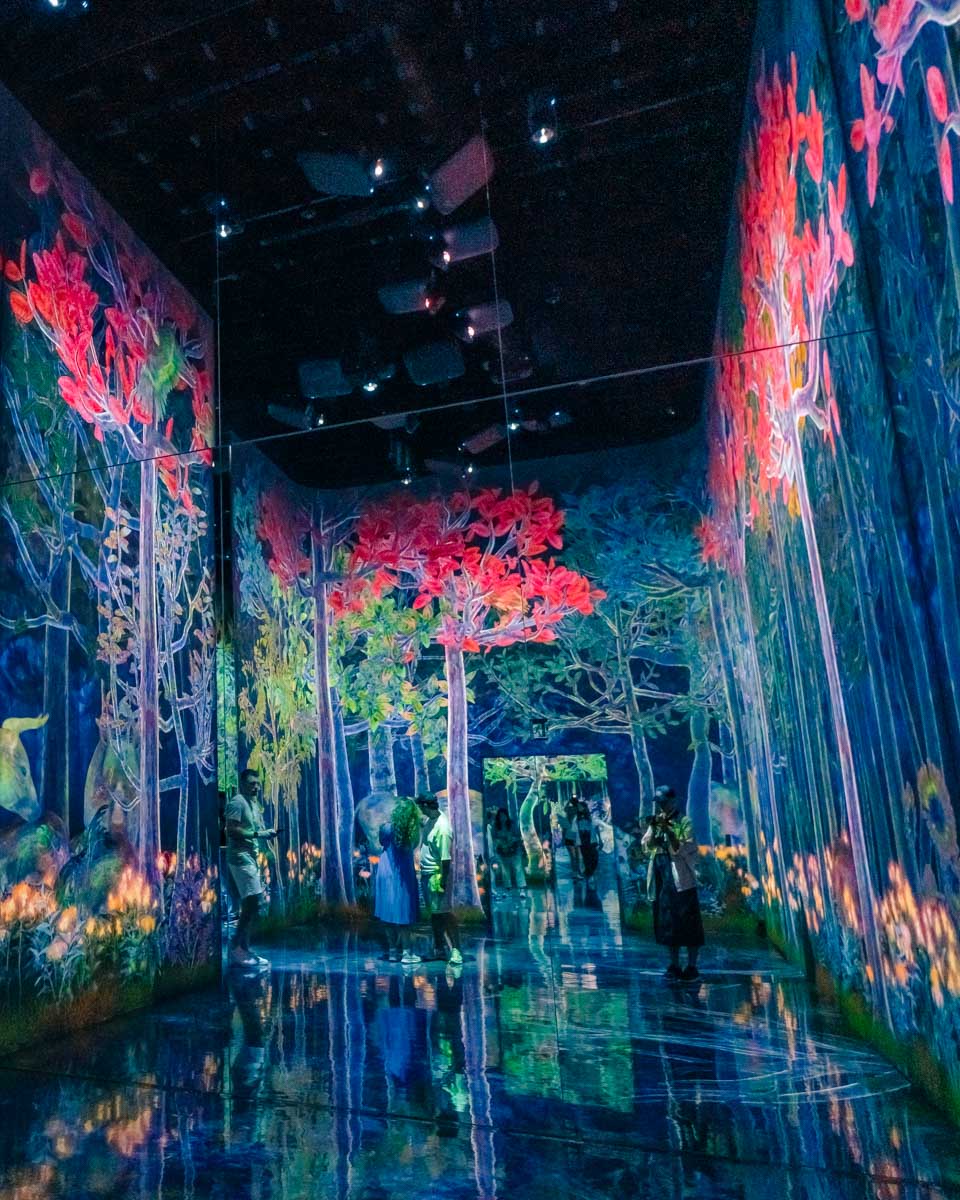TeamLab Art museum in Tokyo Japan (1)