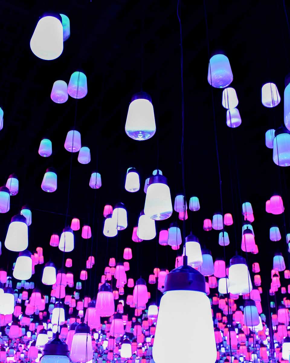 TeamLab Art museum in Tokyo Japan (2)