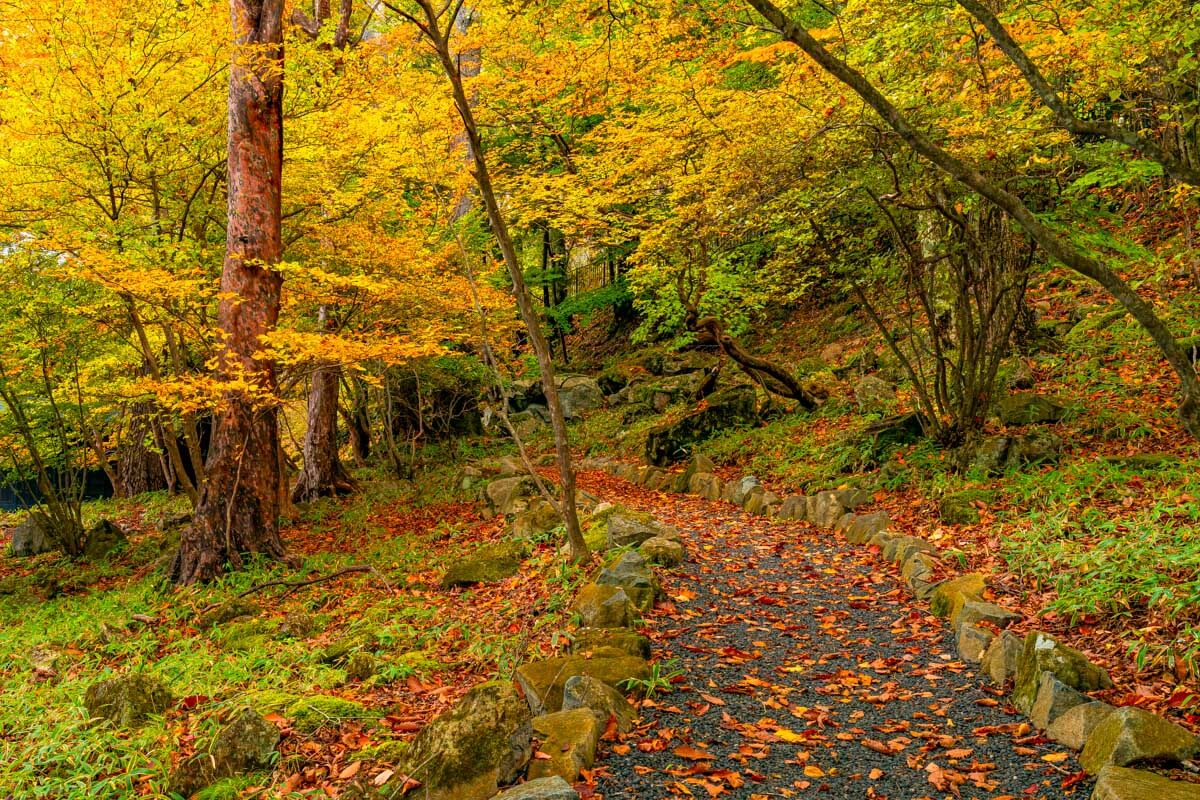 View of walking trail on the shore of Lake Chuzenji