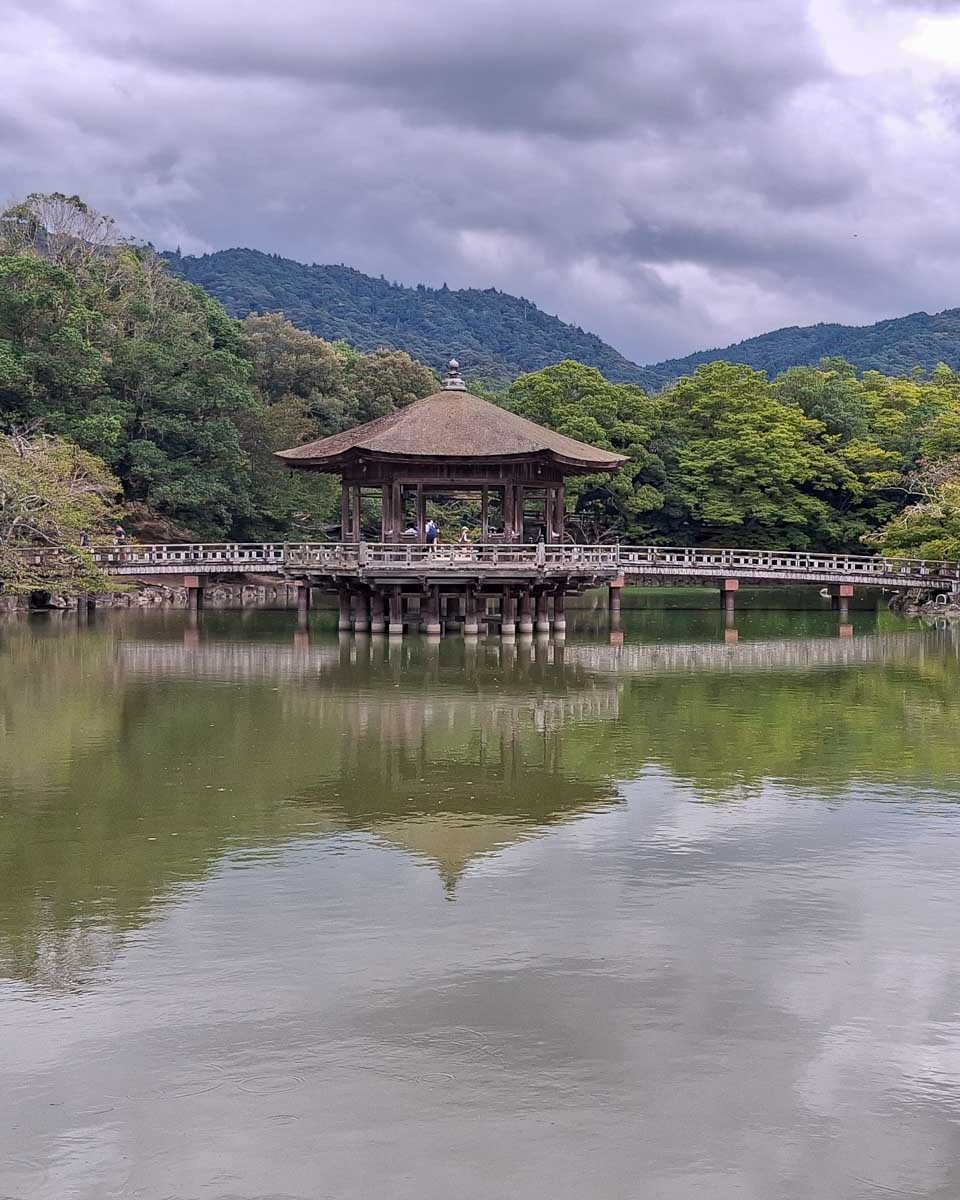Walkiong through part of Nara Park in Nara Japan on a cloudy day