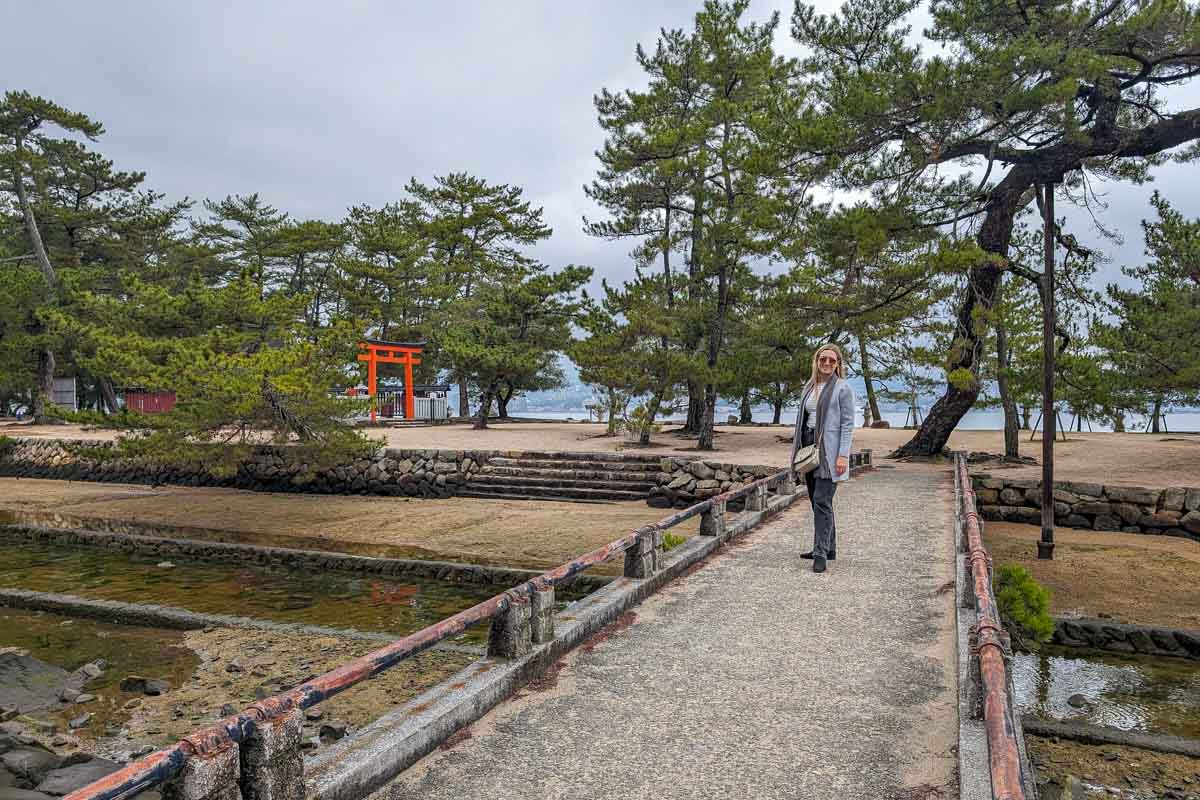 Photo of Bailey in the forest of Miyajima Japan 1