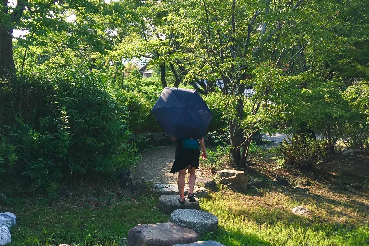 Travel umbrella for packing list