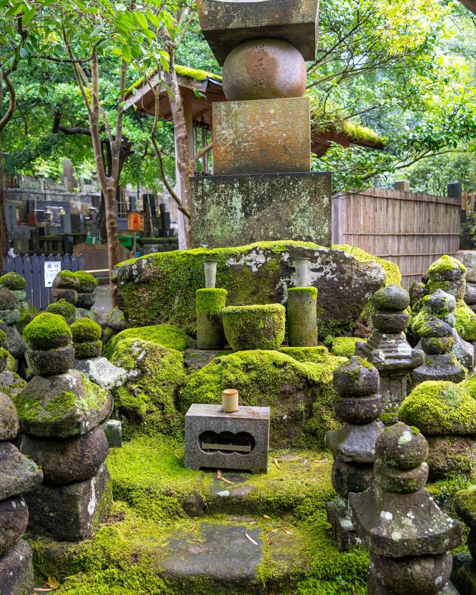 Hokoku-ji Temple in Kamakura, Japan on a tour from Yokohama