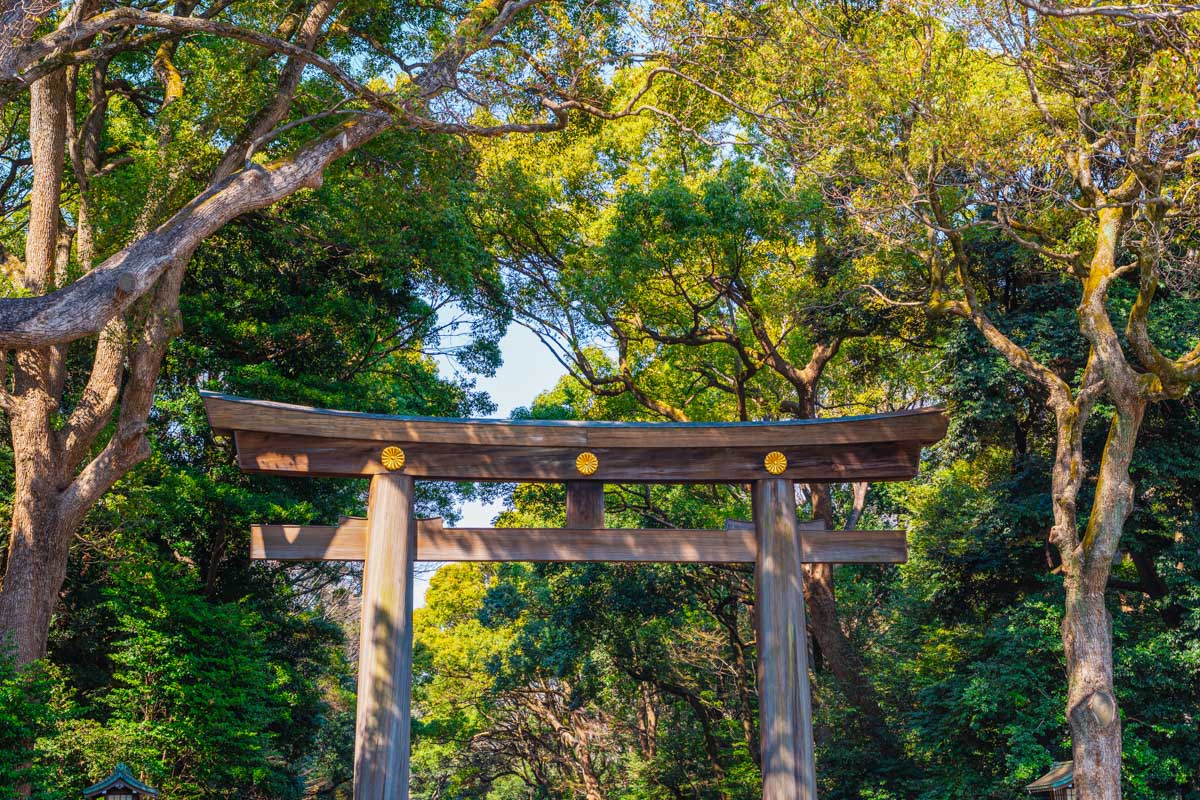 Meiji Jingu Shrine in Tokyo Japan seen on a tour from Yokohama