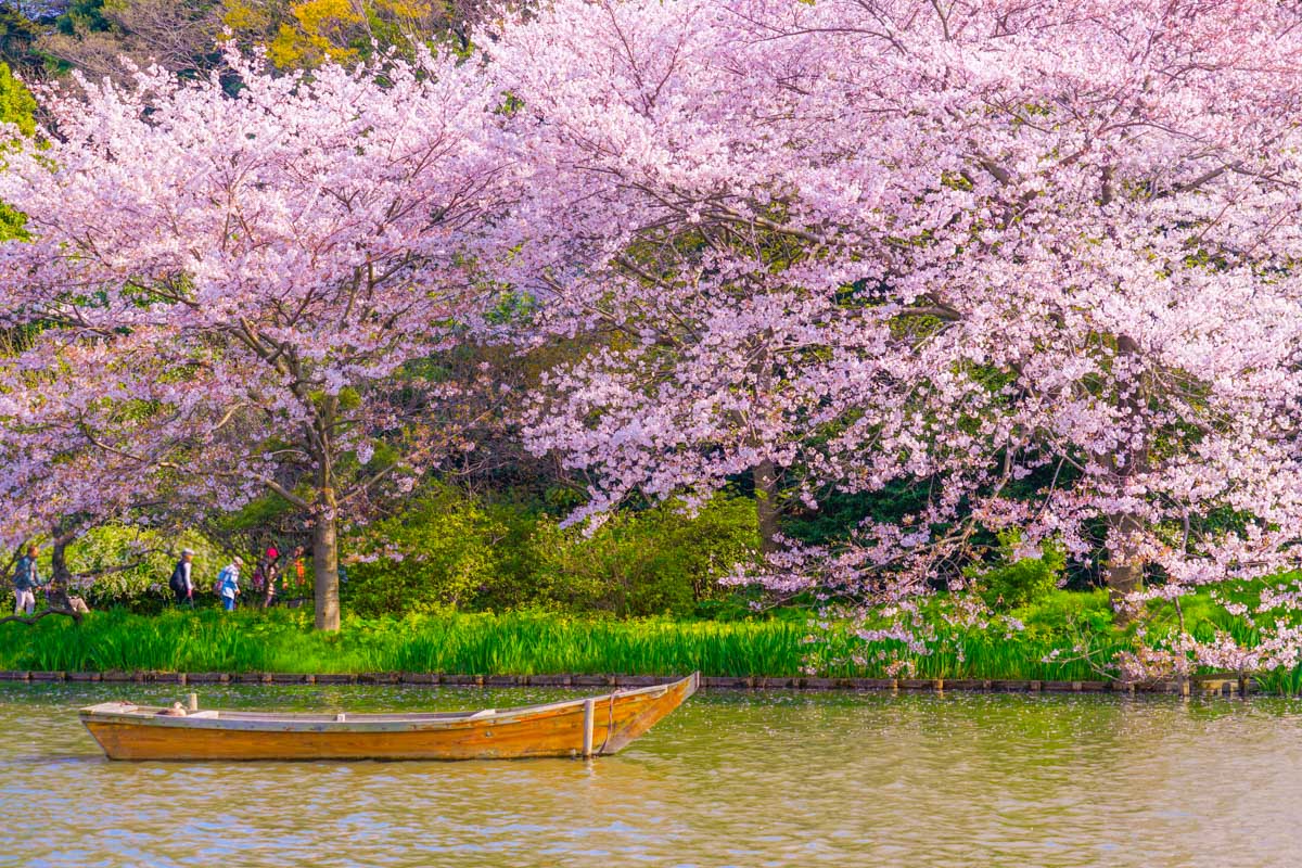 Sankeien Garden seen in Yokohama Japan (2)