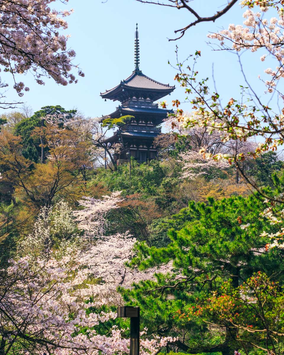 The Pagoda in Sankeien Garden seen in Yokohama Japan (1)