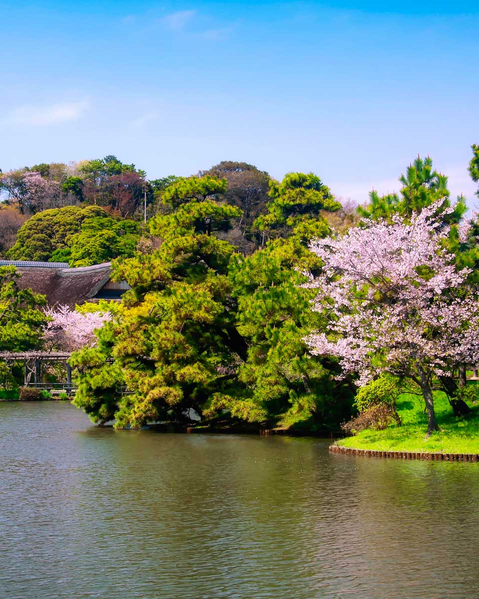 The Sankeien Garden on a sunny day in Yokohama Japan (1)