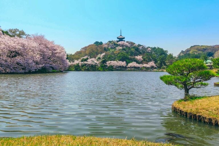 The Sankeien Garden on a sunny day in Yokohama Japan (2)
