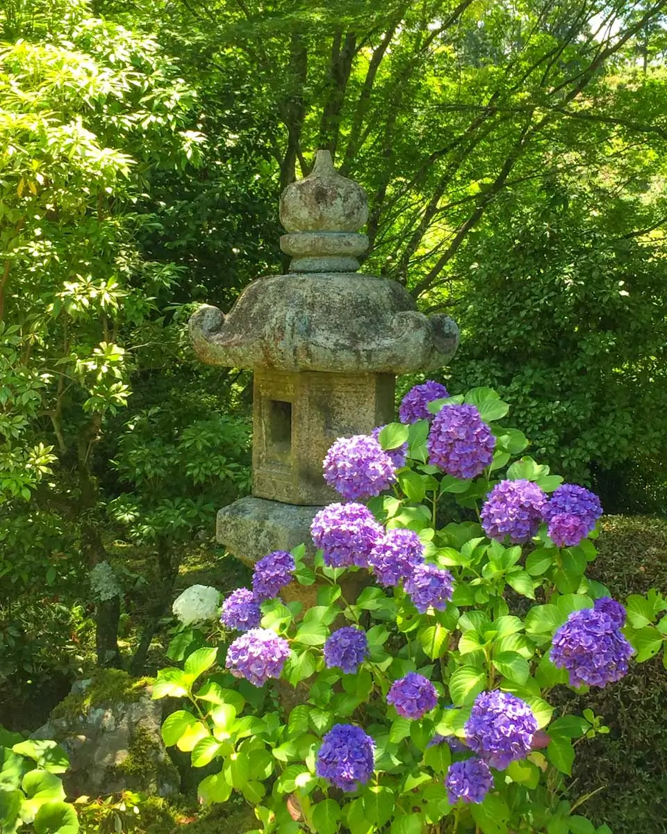 At the Higashiyama Zoo and Botanical Gardens in Nagoya, Japan