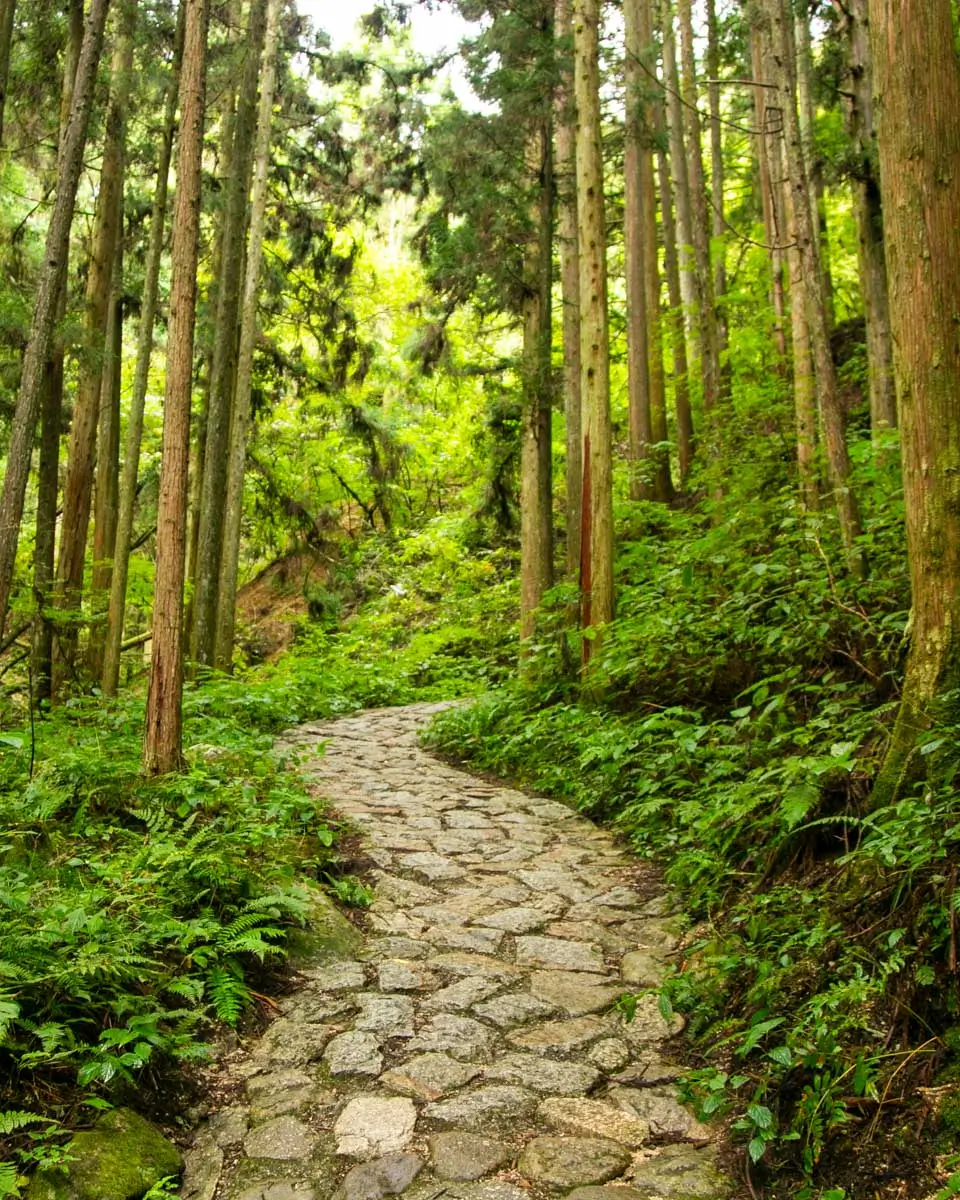 Cobblestones on the Nakasendo Trail seen on a hike from Nagoya, Japan