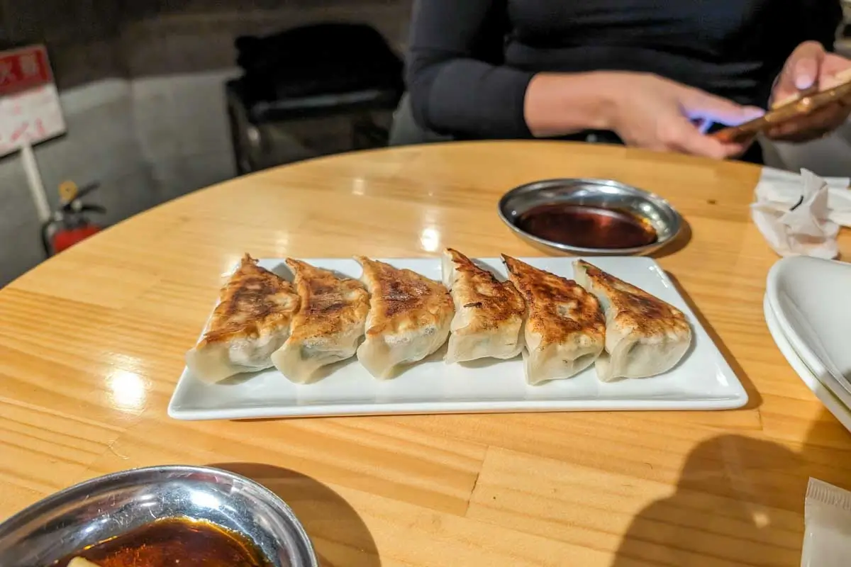 Gyoza eaten in Nikko Japan 1