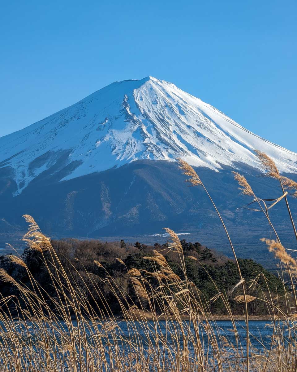 View-of-Mt-Fuji-from-Oishi-Park-on-Lake-Kawaguchiko-Japan-on a tour from Tokyo