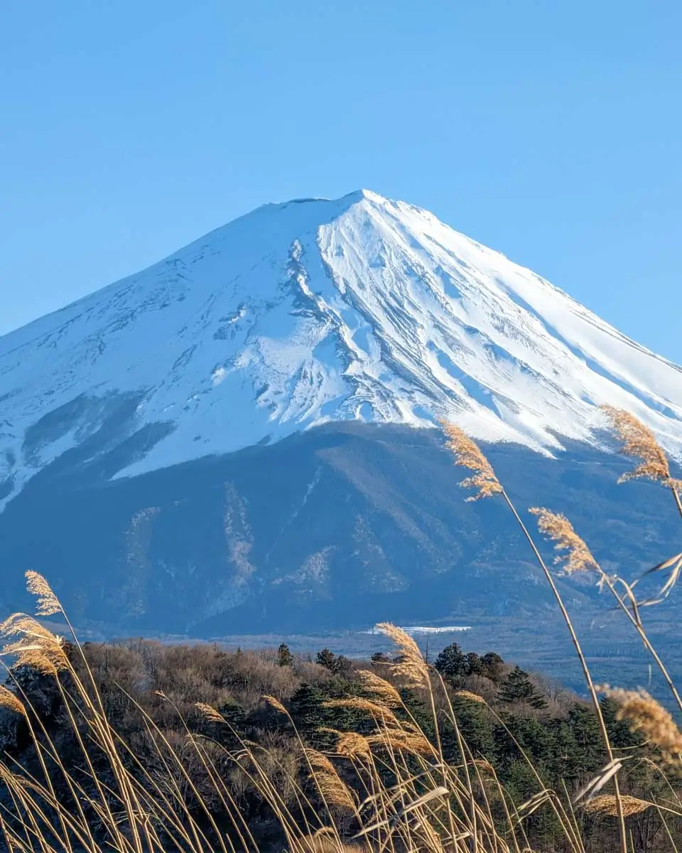 Fuji seen on a tour from Shizuoka, Japan