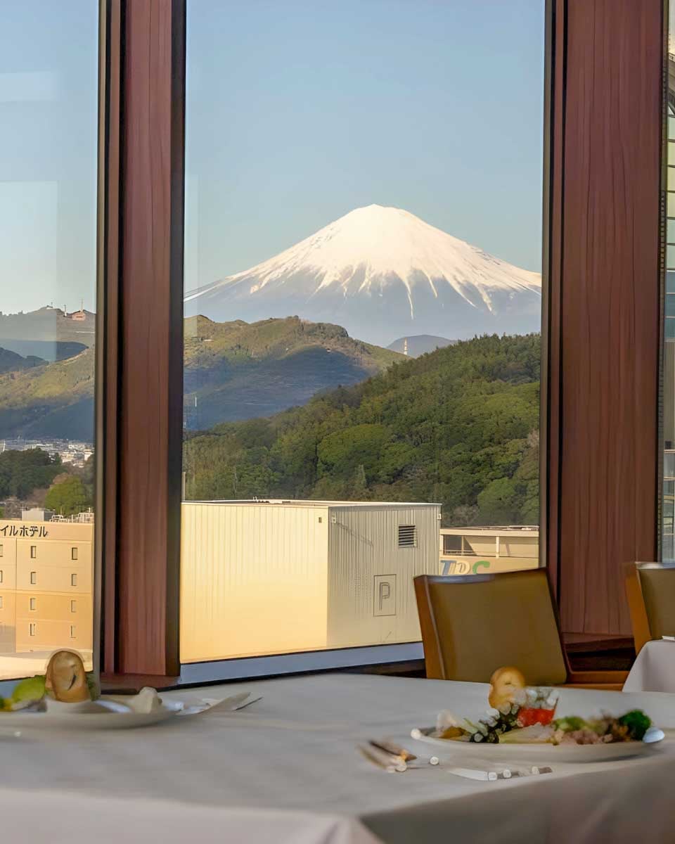 Hotel Associa Shizuoka in Shizuoka, Japan (2)