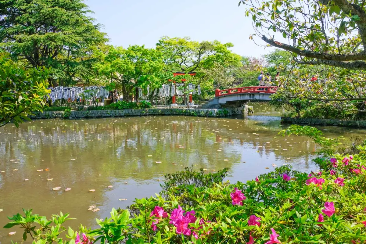 The Tsurugaoka Hachimangu ponds seen on a tour from Yokohama, Japan